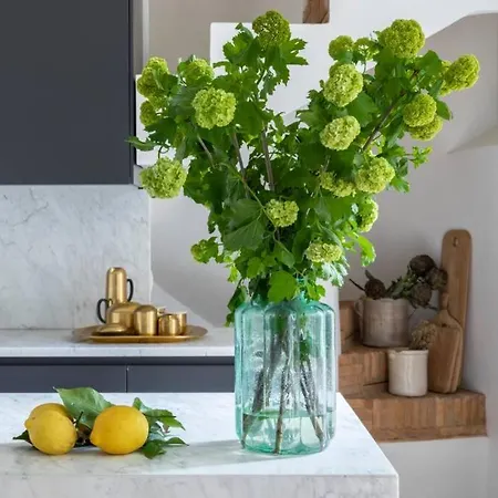 Casa Luce, A Burghesius * روما